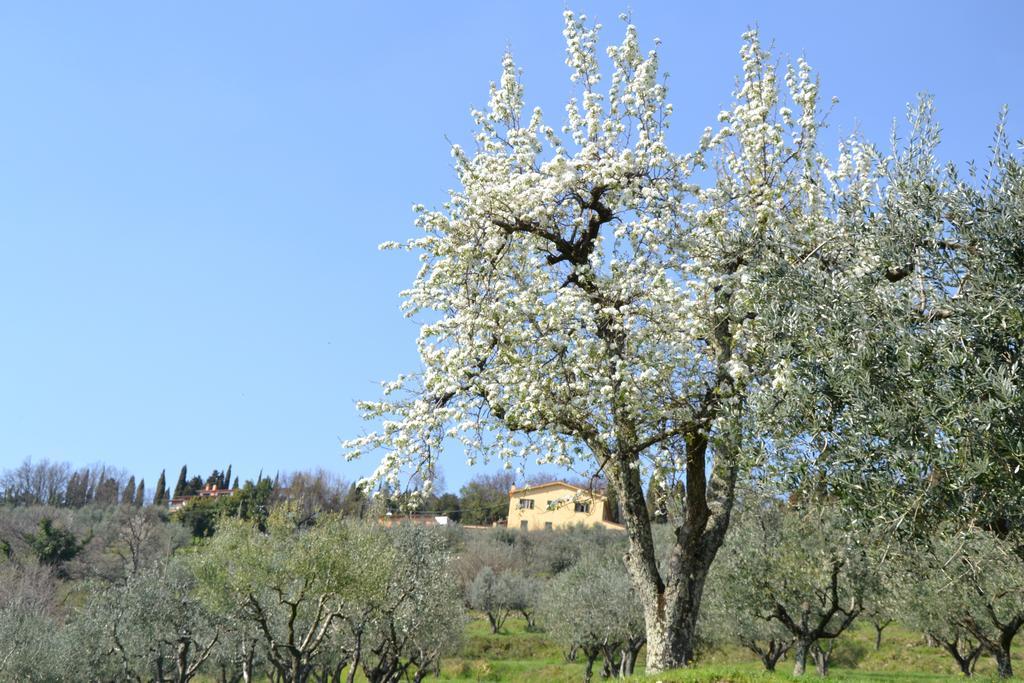 Agriturismo La Corte Пистойя Экстерьер фото